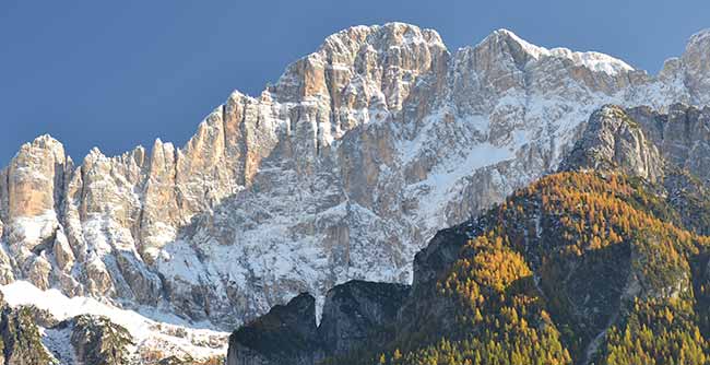 Il Civetta o la Civetta 